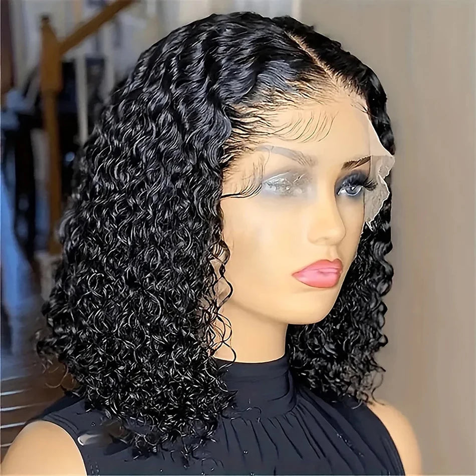 Nia HD Kinky Curly Human Hair Wig | 13x6 Glueless Lace Front | EricaShine